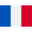 Icone Bandeira França